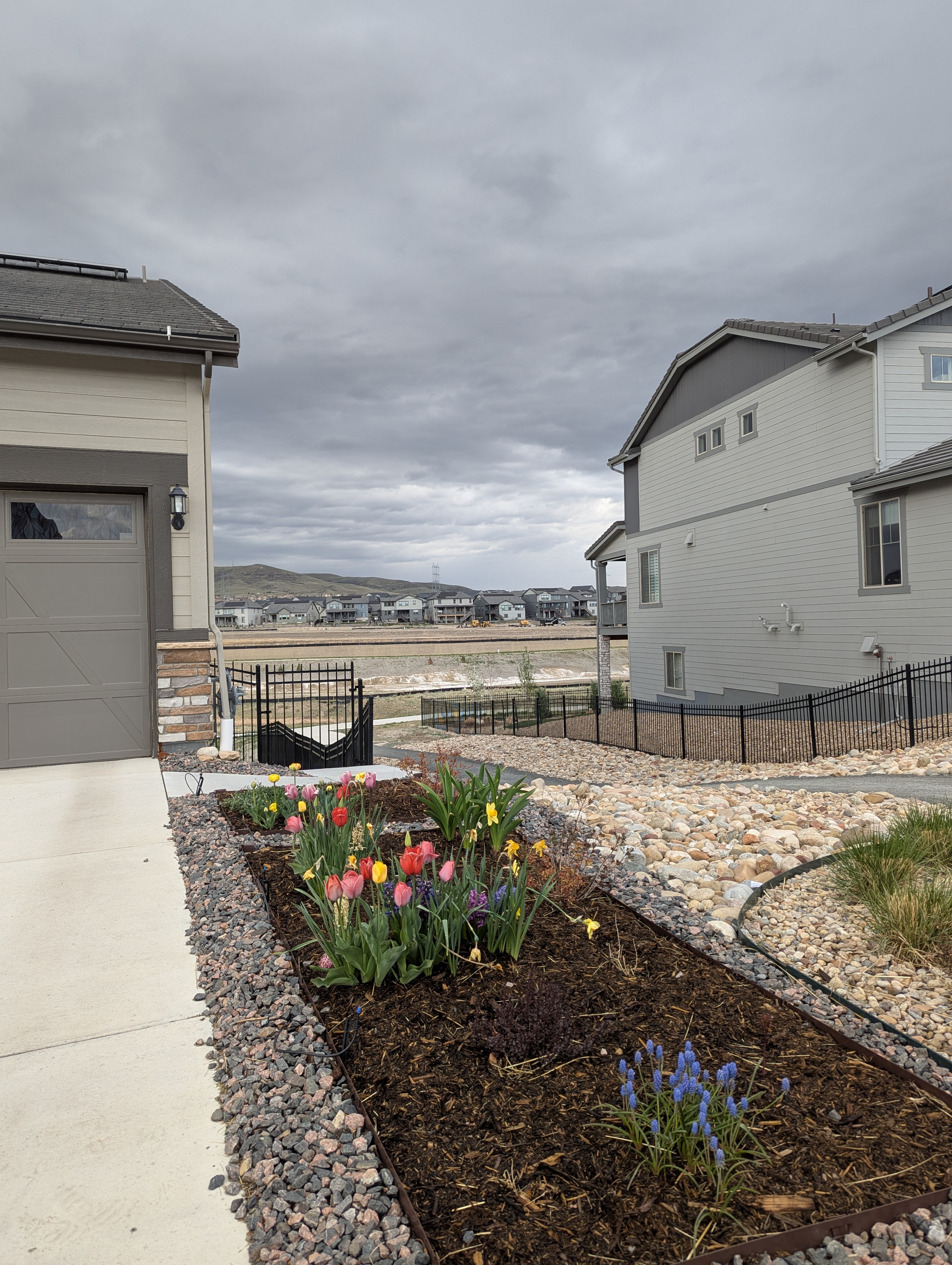 Garden, Flowers, Morrison, Colorado